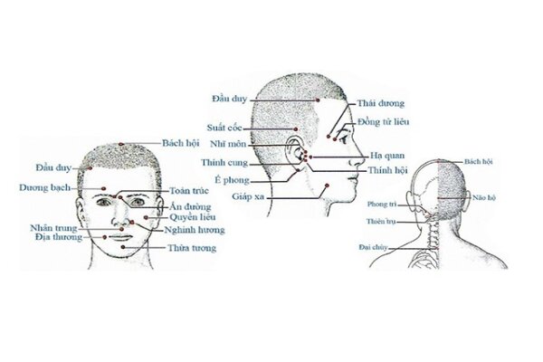 Vị trí một số huyệt đạo vùng đầu mặt cổ theo nguyên tắc Trung Hoa
