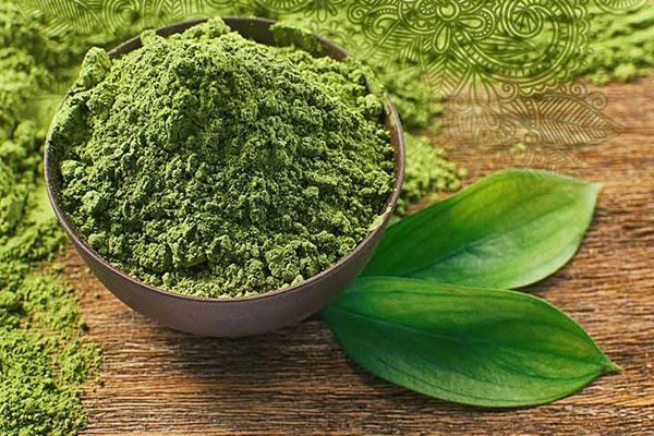 Trà xanh, ứng cử viên sáng giá trong điều trị mụn dị ứng