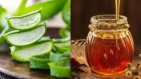 hỗn hợp nha đam mật ong tốt cho làn da