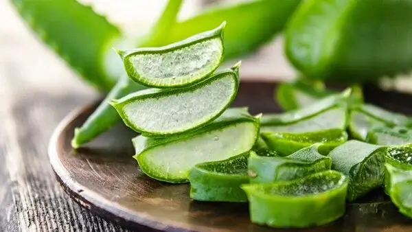 nha đam có nhiều công dụng tốt cho làn da đẹp