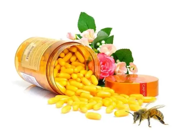 viên uống sữa ong chúa là gì