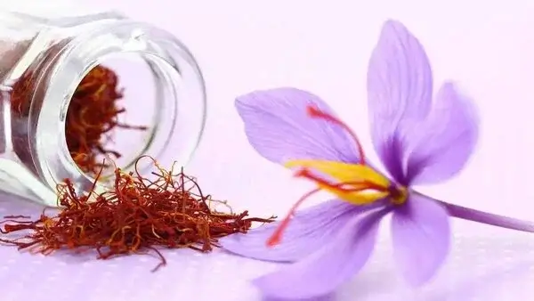 nhụy hoa nghệ tây tác động tốt đến tâm lý