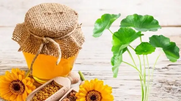 rau má kết hợp mật ông trị mụn rất tốt