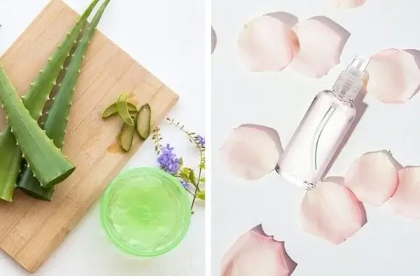 Nha đam trắng da tại nhà cùng nước hoa hồng