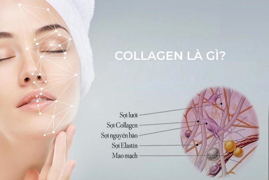 Collagen là gì? Lợi ích của collagen đối với làn da