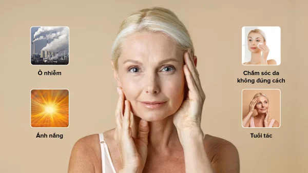 Tác động của ánh nắng mặt trời làm hỏng collagen, khiến da mất độ đàn hồi
