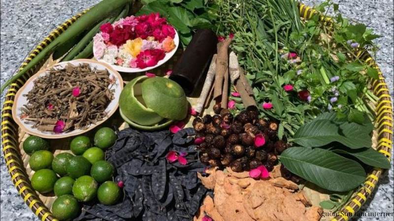 Các loại thảo mộc thường dùng để gội đầu