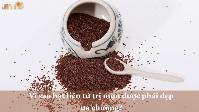 hạt liên tử trị mụn được